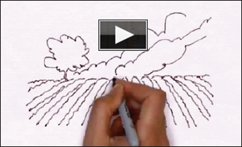 video: Armande in Provence